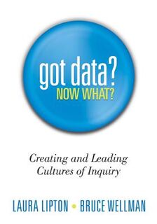 Got Data? Now What?: Creating and Leading Cultures of Inquiry - Laura Lipton (ISBN 9781936765034)