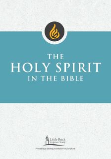 Holy Spirit in the Bible - George M. Smiga (ISBN 9780814666630)