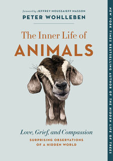 The Inner Life of Animals: Love, Grief, and Compassion--Surprising Observations of a Hidden World - Peter Wohlleben (ISBN 9781771648028)