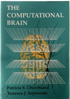 The Computational Brain - Patricia S. Churchland, Terrence J. Sejnowski (ISBN 9780262531207)