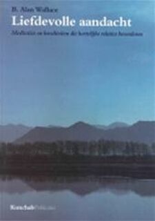 Liefdevolle aandacht - B.A. Wallace (ISBN 9789074815390)