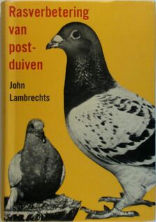 Rasverbetering van postduiven - John Lambrechts