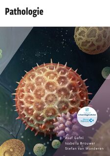 Pathologie - Asaf Gafni, Isabella Brouwer, Stefan van Wonderen (ISBN 9789083139371)