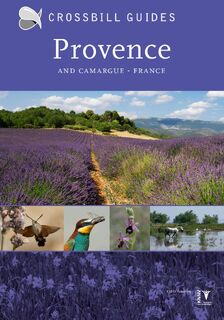 Provence and Camargue - Dirk Hilbers, Constant Swinkels, Albert Vliegenthart (ISBN 9789491648168)