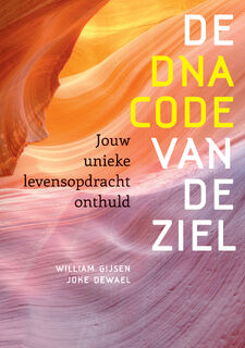 De DNA-code van de ziel - W. Gijsen, J. Dewael (ISBN 9789077247471)