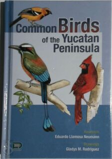 Common Birds of the Yucatan Peninsula - (ISBN 9789706053688)