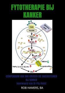 Fytotherapie bij Kanker - Rob BA Hamers (ISBN 9789403615547)