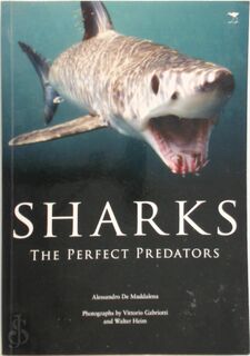 Sharks - Alessandro De Maddalena (ISBN 9781770095595)