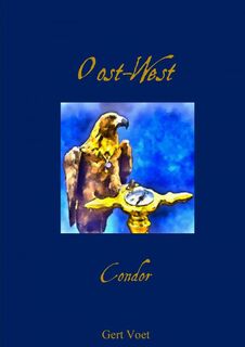 Oost-West - Gert Voet (ISBN 9789464807172)