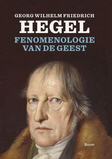 Fenomenologie van de geest - Georg Wilhelm Friedrich (ISBN 9789024446377)