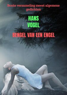 Bengel van een engel - Hans Vogel (ISBN 9789464357325)