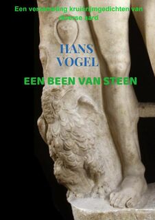 Een been van steen - Hans Vogel (ISBN 9789464488272)