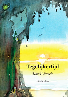 Tegelijkertijd - Karel Wasch (ISBN 9789493368071)
