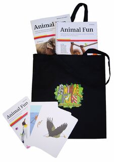 Animal Fun - Sue McLaren (ISBN 9789464149364)
