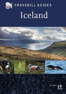 Iceland - Dirk Hilbers (ISBN 9789491648038)