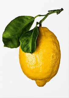 The Gourmand's Lemon. A Collection of Stories and Recipes - (ISBN 9783836585903)