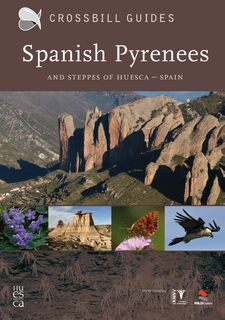 Pyrenees - D. Hilbers, Dirk Hilbers, Kees Woutersen (ISBN 9789050113823)