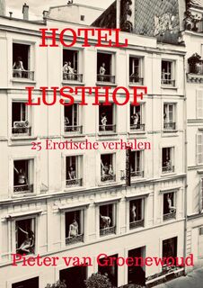 Hotel Lusthof - Pieter van Groenewoud (ISBN 9789465202532)