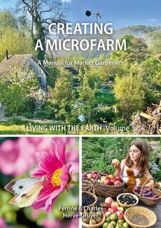 Living with the Earth: Volume 3 - Perrine Herve-Gruyer (ISBN 9781856232821)