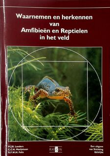 Waarnemen en herkennen van amfibieën en reptielen in het veld - H.J.R Lenders, C. C. H. Marijnissen