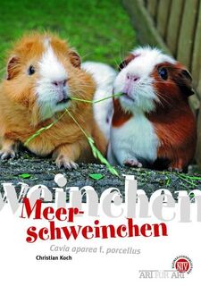 Meerschweinchen - Christian Koch (ISBN 9783866591110)