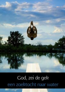 God, zei de gek - Verboom (ISBN 9789462542068)