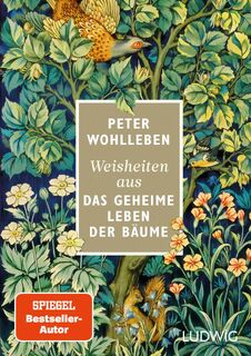 Weisheiten aus 'Das geheime Leben der Bäume' - Peter Wohlleben (ISBN 9783453281776)