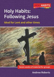 Holy Habits: Following Jesus - Andrew Roberts (ISBN 9780857469946)