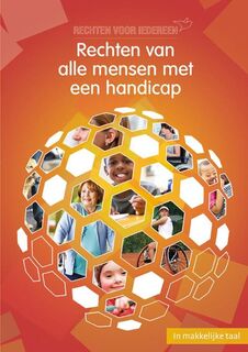 Rechten van alle mensen met een handicap - Willemijn Steutel (ISBN 9789086962501)