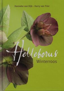 Dijk/ Helleborus. Winterroos - Hanneke van Dijk (ISBN 9789058561541)