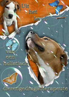 Uit het leven van een holistisch dierengedragstherapeute - Inge Pauwels (ISBN 9789402128963)