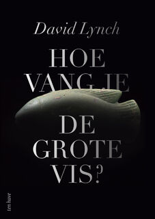 Hoe vang je de grote vis? - David Lynch (ISBN 9789025907099)
