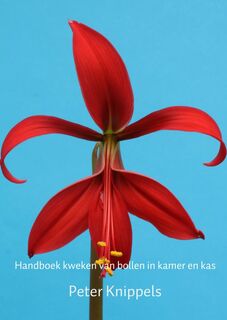 Handboek kweken van bollen in kamer en kas - Peter Knippels (ISBN 9789402173239)