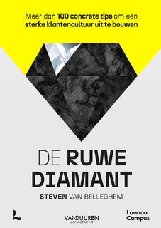 De ruwe diamant - Steven van Belleghem (ISBN 9789401495455)