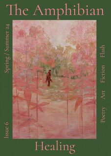 The Amphibian Literary and Art Journal - Literary Magazine (ISBN 9789465012711)