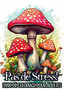 Livre de Coloriage pour Adultes - Pas de Stress! - Livre De Coloriage et Plus (ISBN 9789403780689)