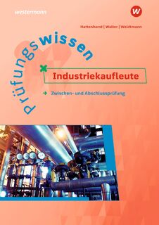 Prüfungswissen Industriekaufleute - Anita Hattenhorst, Bernd Weidtmann, Klaus Walter (ISBN 9783427014072)