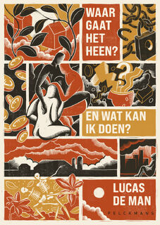 Waar gaat het heen? En wat kan ik doen? - Lucas de Man (ISBN 9789463839198)
