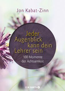 Jeder Augenblick kann dein Lehrer sein - Jon Kabat-Zinn (ISBN 9783426292334)