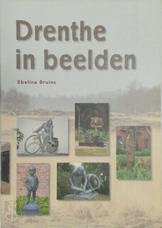 Drenthe in beelden - E. Bruins (ISBN 9789023236429)