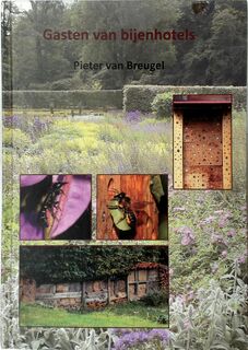 Gasten van bijenhotels - Pieter van Breugel (ISBN 9789076261096)
