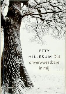 Dat onverwoestbare in mij - Etty Hillesum (ISBN 9789460033162)