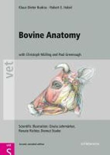 Bovine Anatomy - Klaus-Dieter Budras (ISBN 9783899930528)