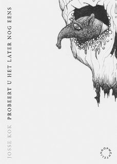 Probeert u het later nog eens - Josse Kok (ISBN 9789063381684)