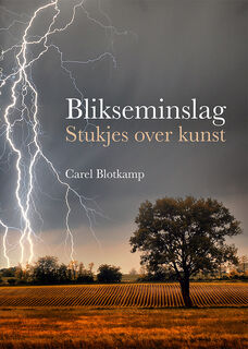 Blikseminslag - Carel Blotkamp (ISBN 9789462621510)