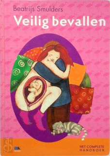 Veilig bevallen - Beatrijs Smulders (ISBN 9789021581088)