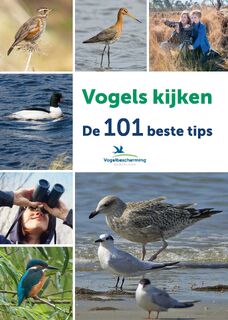 Vogels kijken - Ger Meesters (ISBN 9789021573595)