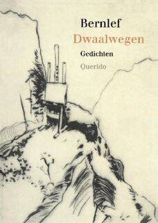 Dwaalwegen - Bernlef (ISBN 9789021434551)