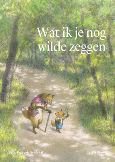 Wat ik je nog wilde zeggen - Jean-François Sénéchal (ISBN 9789002278976)