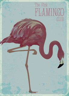 Poster Vintage Flamingo - (ISBN 2500015060047)